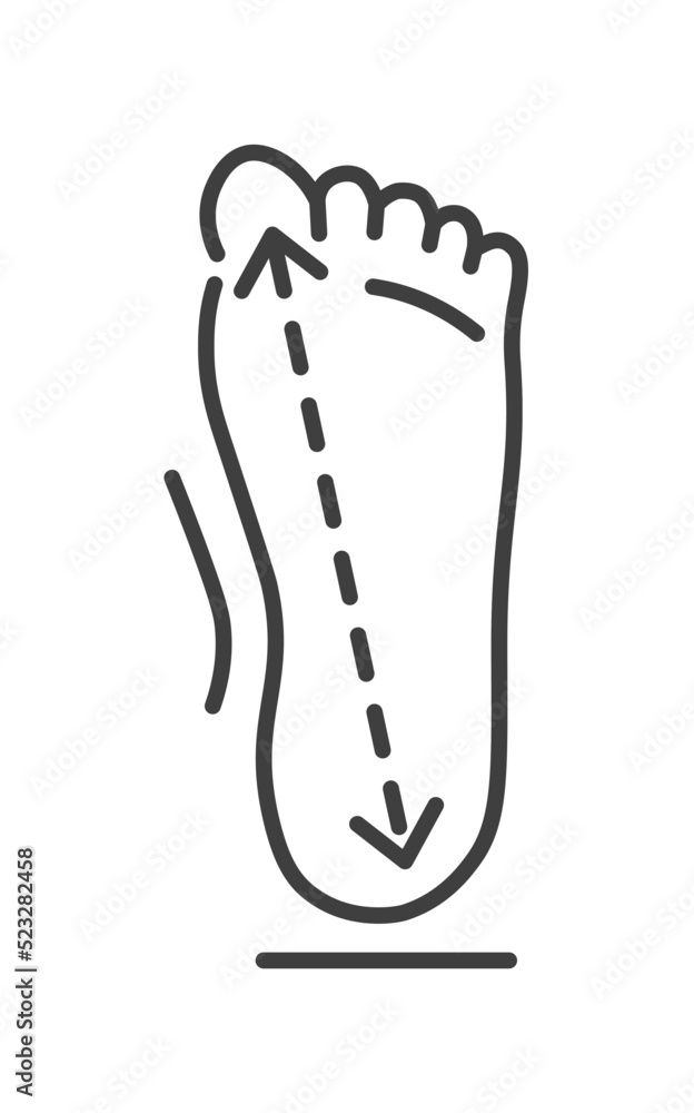Dimensions Of Human Feet Size Chart Of Clothes Stock Vector Adobe Stock dimensions-of-human-feet-size-chart-of-clothes-stock-vector-adobe-stock