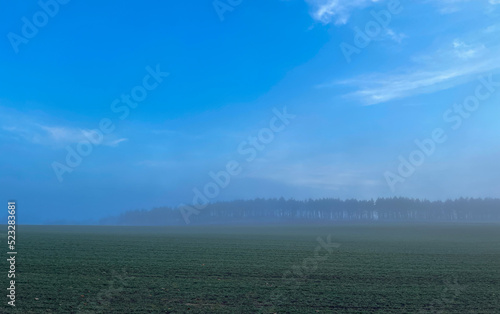 Morning mist in the fields