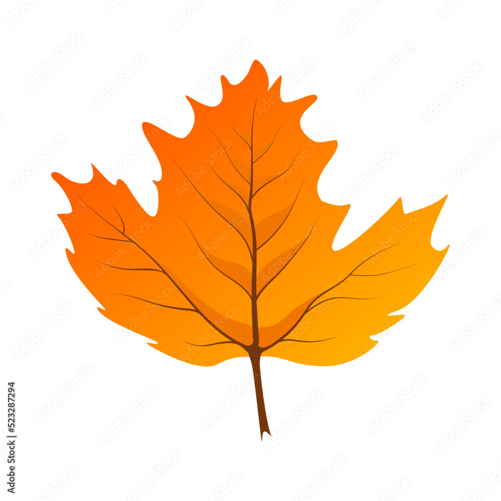 Naklejka premium Viburnum leaf for a separate design on a white background