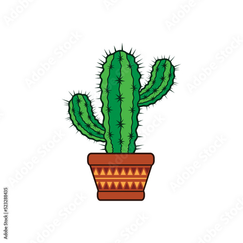 potted stylish cactus