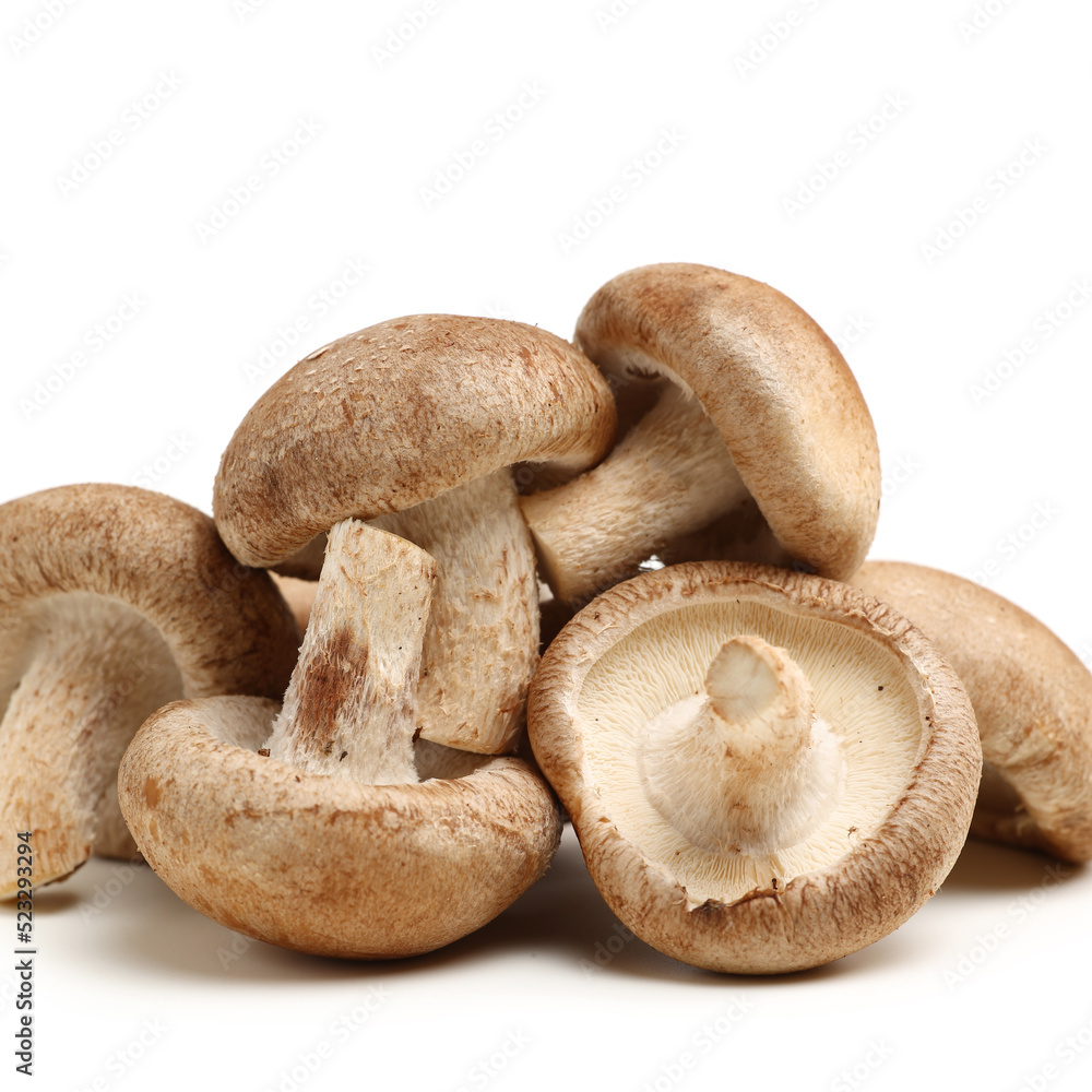 Shiitake mushroom on the White background 