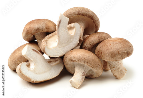 Shiitake mushroom on the White background 