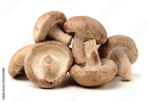 Shiitake mushroom on the White background 