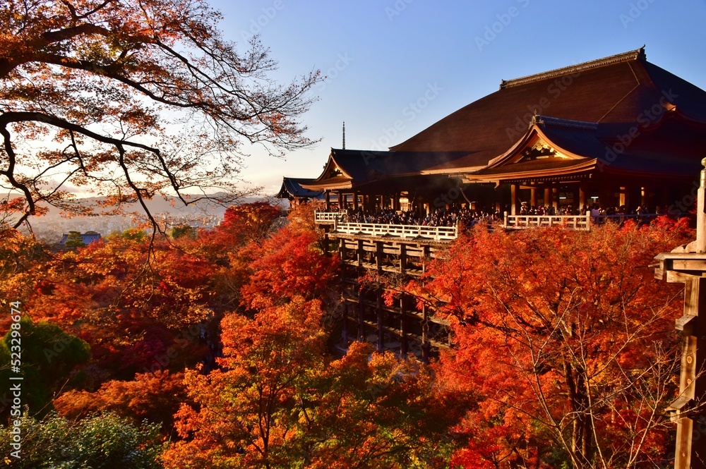 京都の秋 紅葉の清水寺 京都の秋 紅葉の清水寺