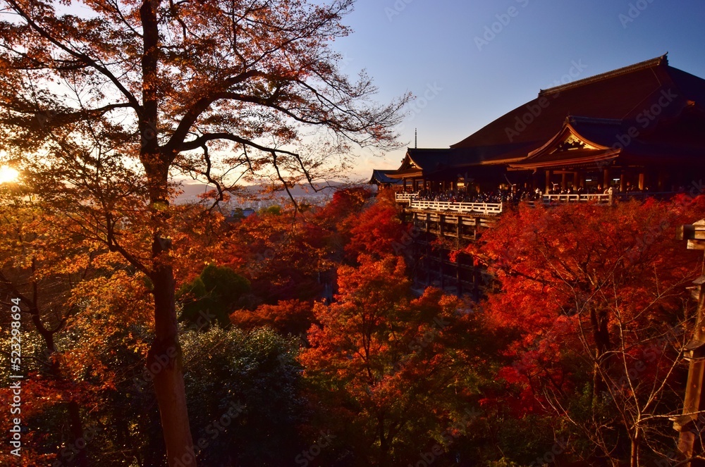 Fototapeta premium 秋の京都 夕暮れの清水寺