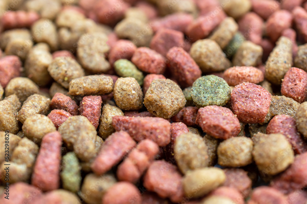 Dry cat food as abstract background. Dry cat food as abstract background.