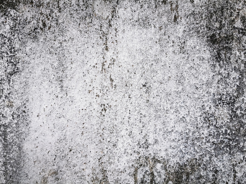 The texture of concrete wall for background.the cement texture of a building
The texture of concrete wall for background.the cement texture of a building