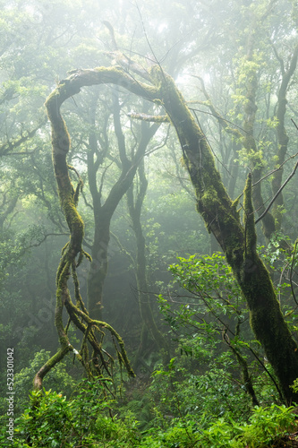 Anaga-Gebirge, Teneriffa