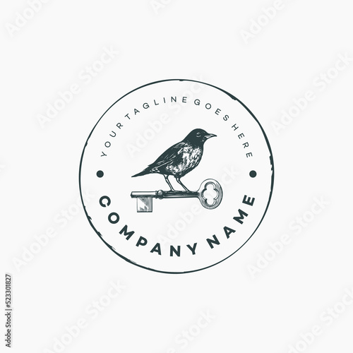 vintage logo key and bird. hand drawn template illustration