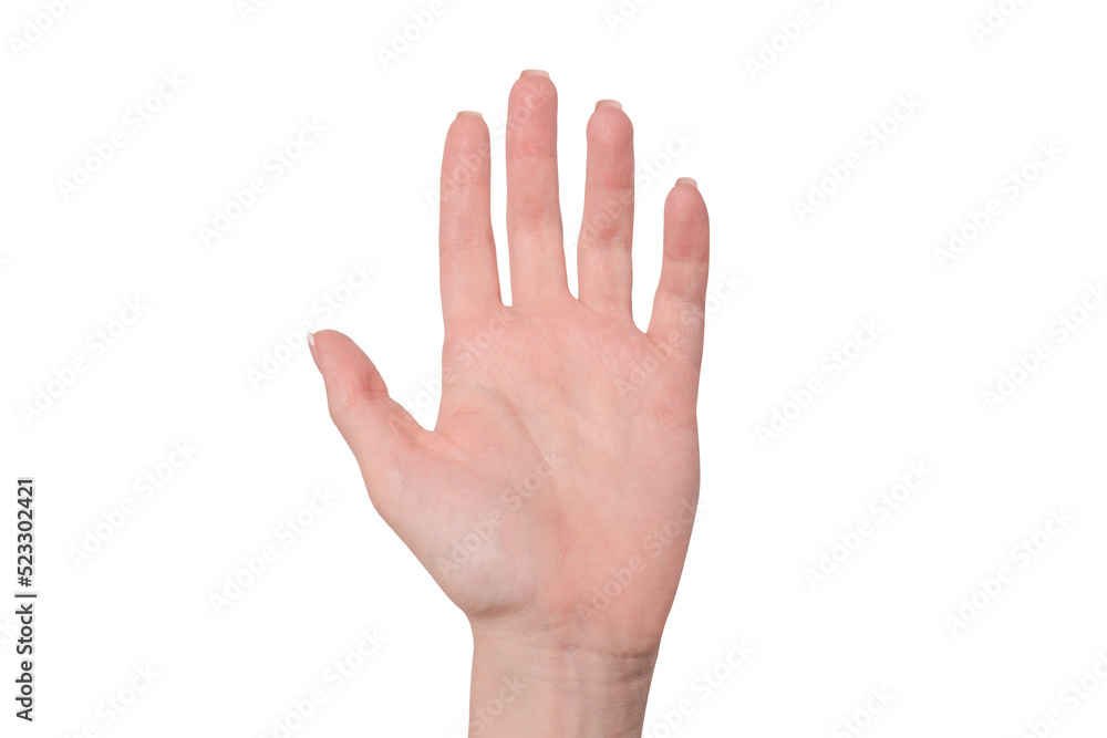 Woman hands with french manicure isolated on white bacckground. Woman hands with french manicure isolated on white bacckground.