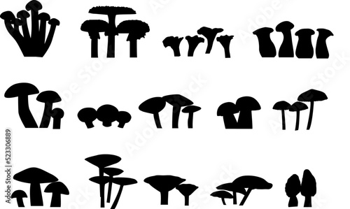 Vector mushrooms icons on isolated background