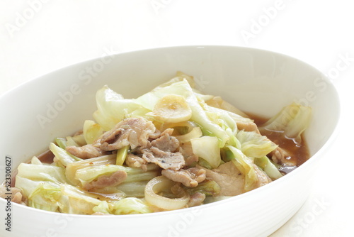 Pork and cabbage stir fried for Chinese stir fried vegetable image