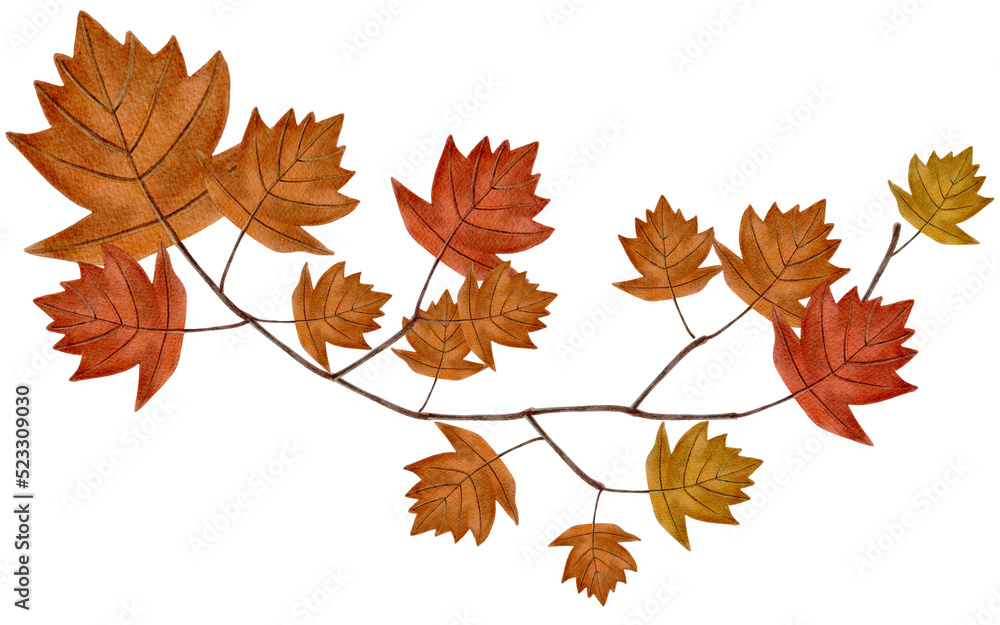 Fototapeta premium Autumn leaves watercolor with transparent background