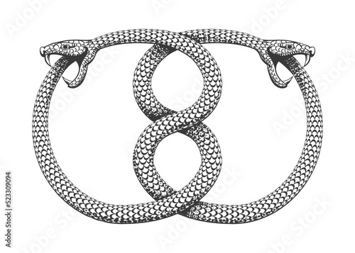 Two Intertwined Ouroboros Snakes Eat Their Tails Tattoo