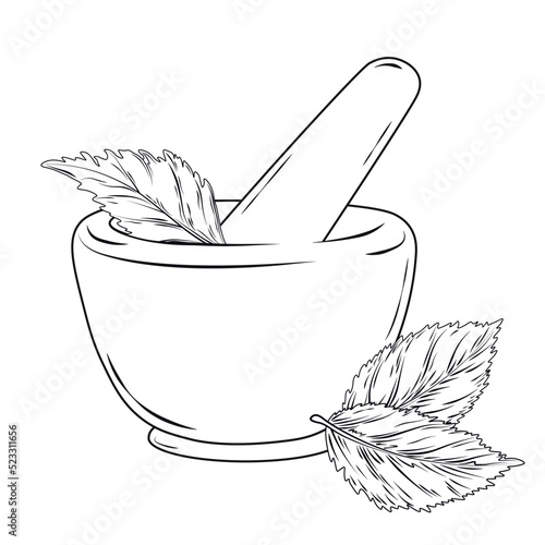 Herbs in a mortar vector stock illustration. Mint leaves. Isolated on a white background. Aromatherapy. Cooking spices in cooking. Natural cosmetics.
