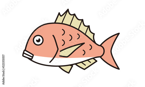 マダイのイラスト素材。