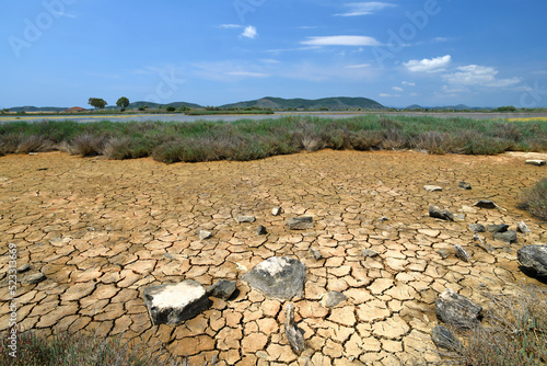 trockene Salzwiese mit Queller (Mesolongi, Griechenland) // Dry salt marsh with glasswort (Missolonghi, Greece) photo