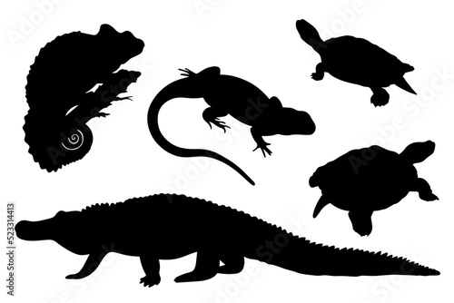 Silhouettes of different reptiles