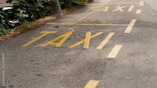 Wallpaper Mural yellow inscription on the road signifying a place for parking taxi cars within the city, Urban public transport infrastructure. Torontodigital.ca