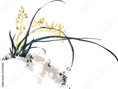 Hand drawn vector watercolor illustration of orchid flowers.