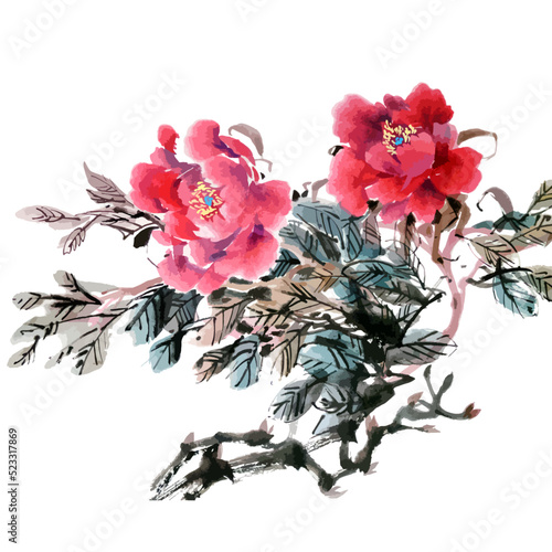 Hand drawn watercolor vector of peonyflowers. photo