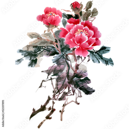 Hand drawn watercolor vector of peonyflowers. photo