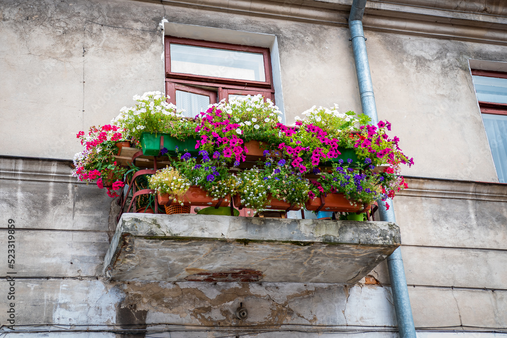 Old dilapidated balcony filled with lots of beautiful colorful flowers. Old dilapidated balcony filled with lots of beautiful colorful flowers.