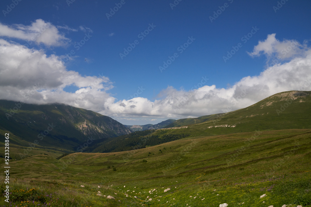 Fototapeta premium alpine meadows with flowers in the mountains with clouds on a sunny day
