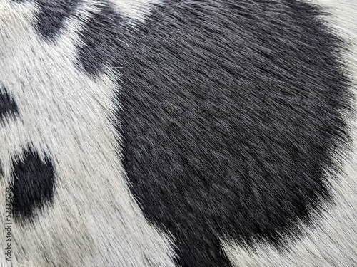 Close up of a fur texture