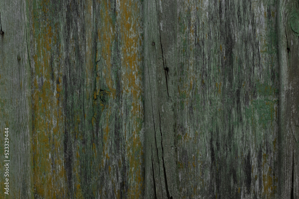 Obraz premium Wooden texture