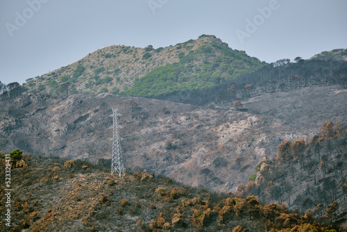 Paisaje calcinado justo después de un incendio. España, Málaga