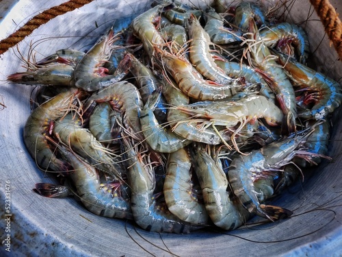 lots of tiger prawn in a pot for sale HD