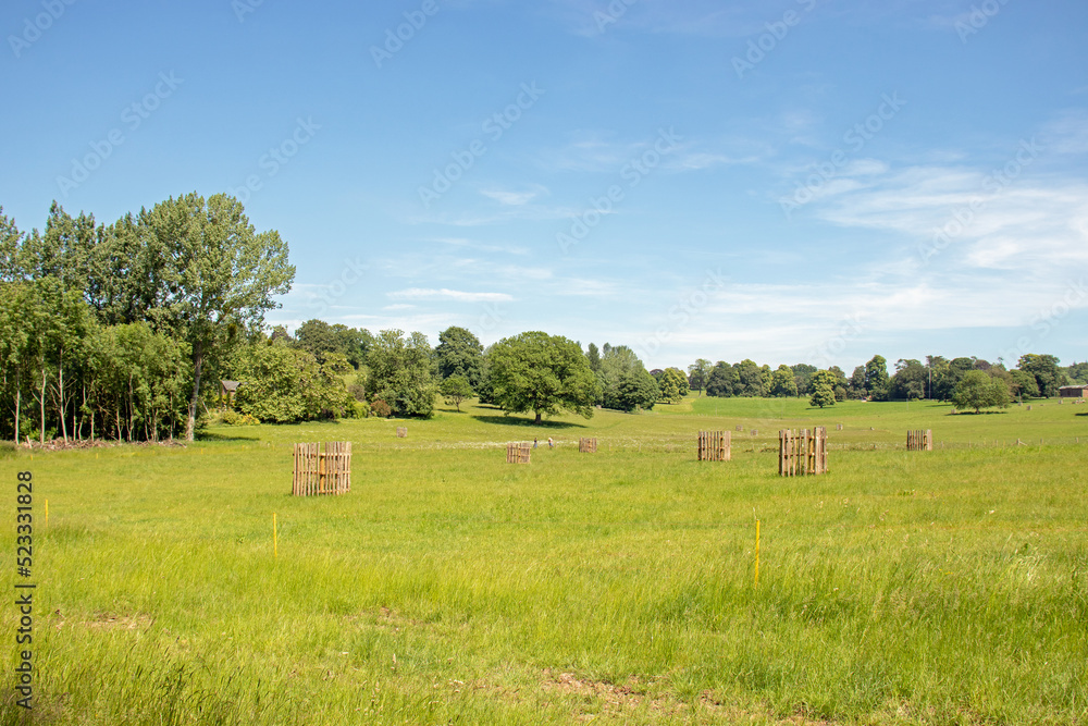 Summertime rural landscape.
