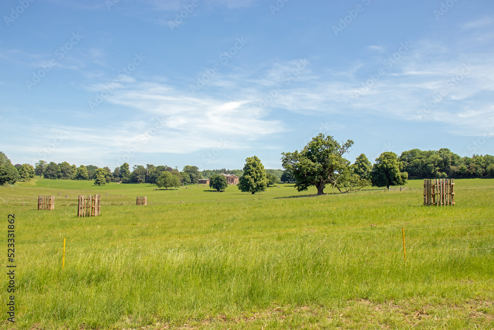 Fototapeta premium Summertime rural landscape.