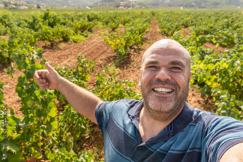 Fototapeta premium Smiling man takes a selfie in a vineyard field.