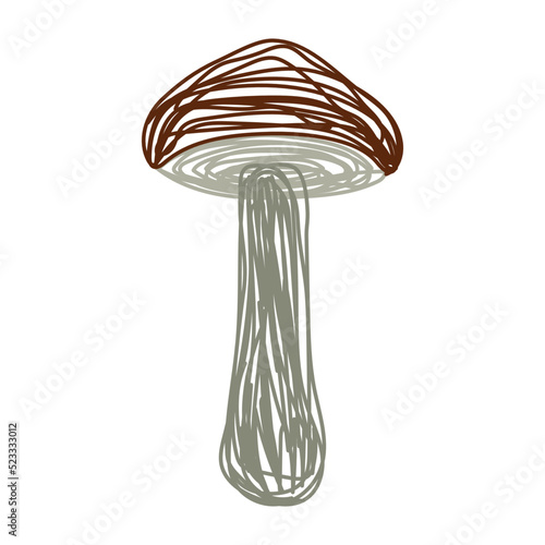Boletus mushroom. Hand drawn vector illustration. Pen or marker doodle sketch