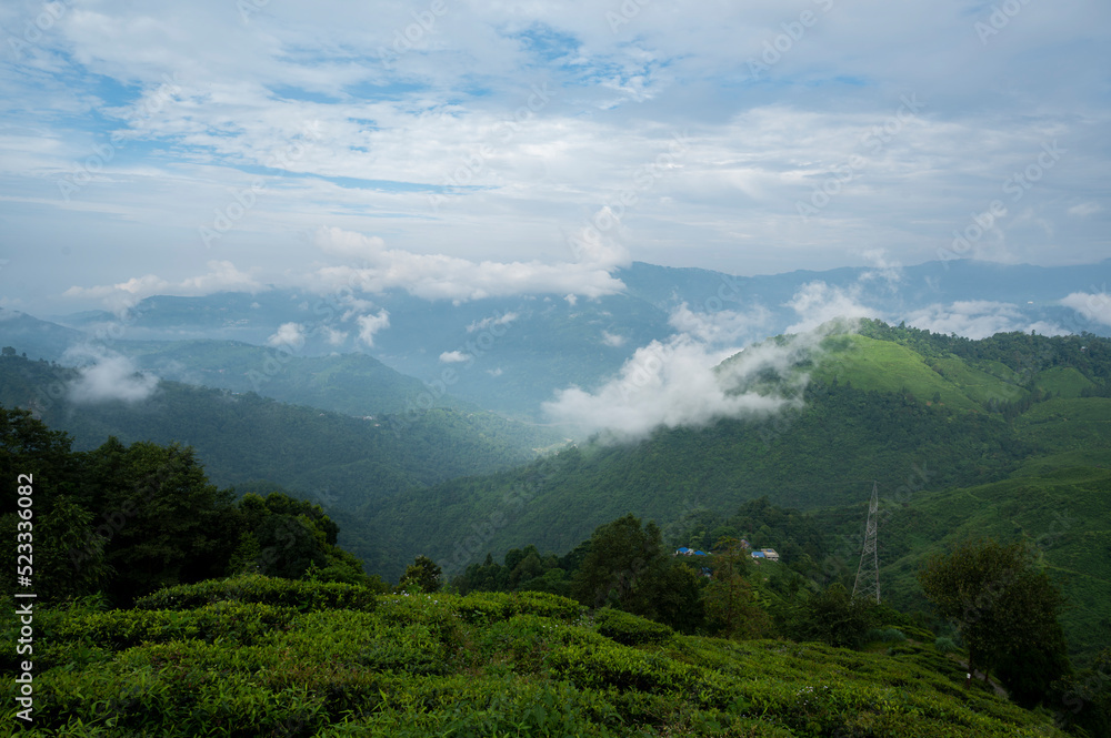 Fototapeta premium countryside landscape with valley in fog behind the forest on the grassy hill. fluffy clouds on a bright blue sky. nature freshness concept. View from Kurseong in morning time. Kurseong, West Bengal.