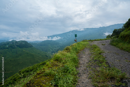 countryside landscape with valley in fog behind the forest on the grassy hill. fluffy clouds on a bright blue sky. nature freshness concept. View from Kurseong in morning time. Kurseong, West Bengal.