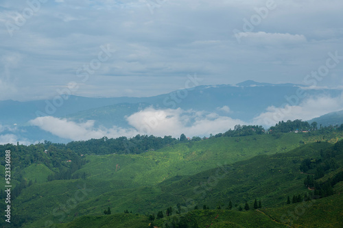 countryside landscape with valley in fog behind the forest on the grassy hill. fluffy clouds on a bright blue sky. nature freshness concept. View from Kurseong in morning time. Kurseong, West Bengal.