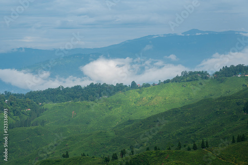 countryside landscape with valley in fog behind the forest on the grassy hill. fluffy clouds on a bright blue sky. nature freshness concept. View from Kurseong in morning time. Kurseong, West Bengal.