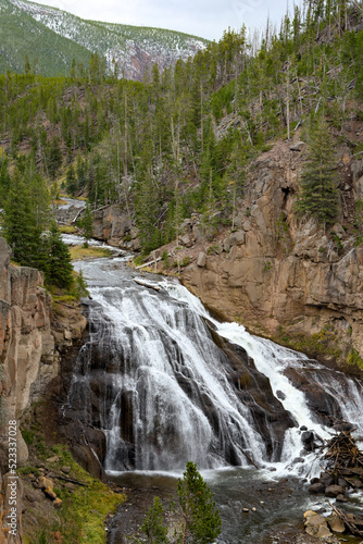 View of Gibbon Falls in Yellowstone National Park