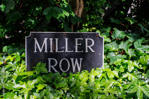 Fotografia miller row
