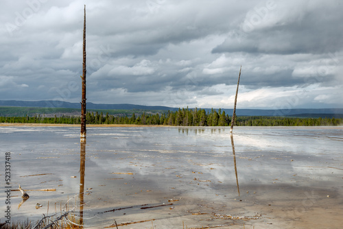 Dead trees with bobby socks in the Grand Prismatic Spring in Yellowstone © philipbird123