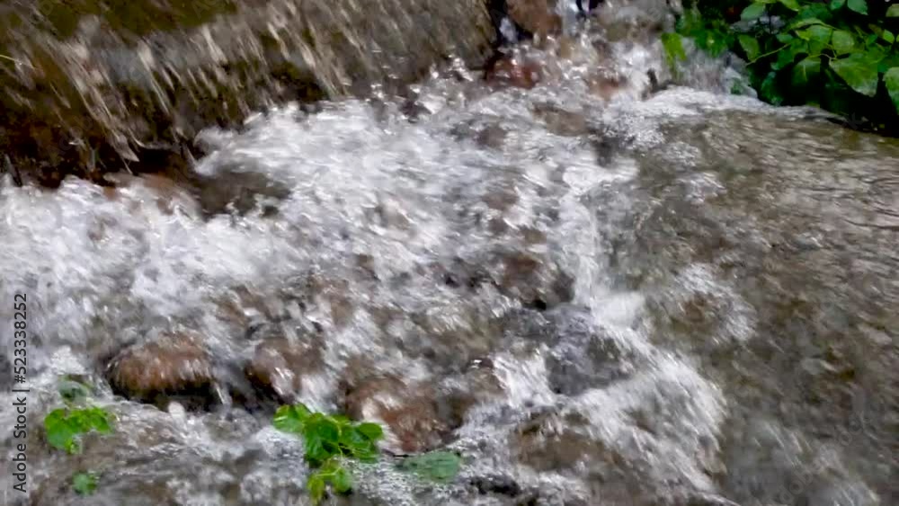stream in the park rises in slow motion stream in the park rises in slow motion