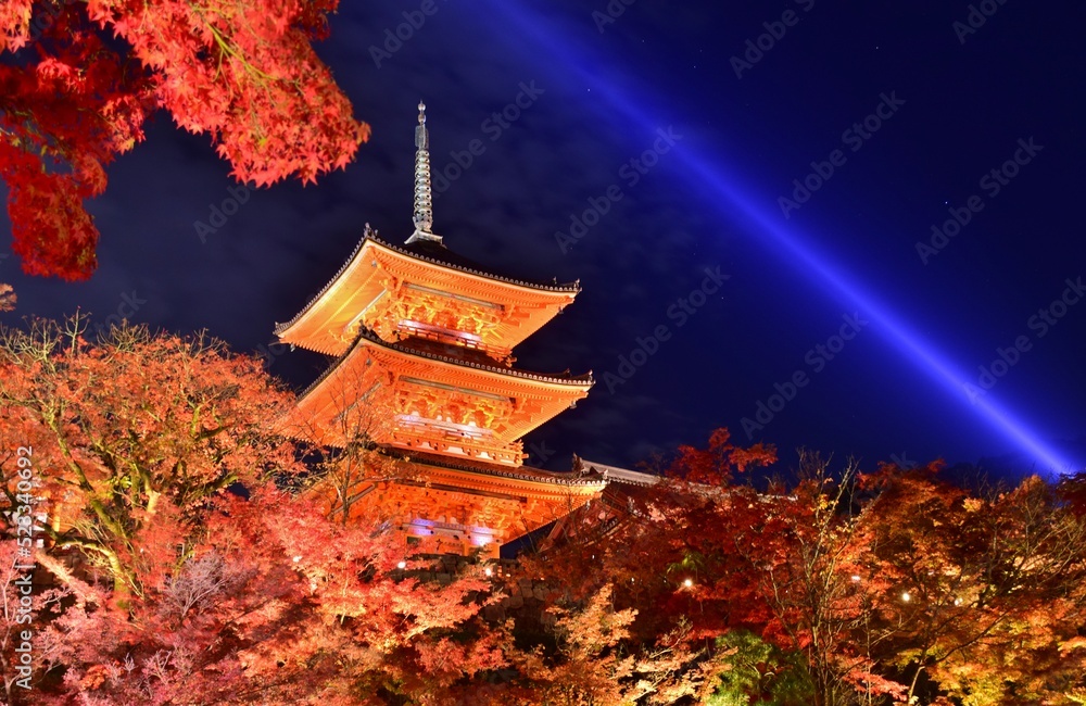 Obraz premium 秋の京都 清水寺ライトアップ