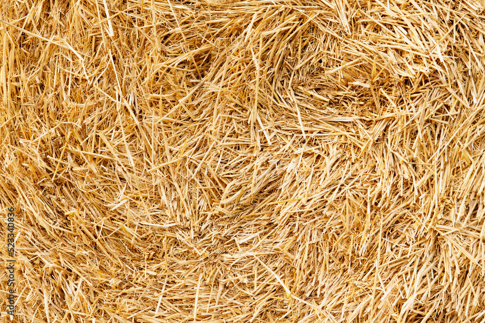 Hay texture. Hay bales are stacked in large stacks. Harvesting in agriculture. Hay texture. Hay bales are stacked in large stacks. Harvesting in agriculture.