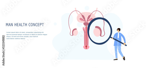 Andrology and urology landing page design with flat illustration of man genitalia and woman scientist with loupe. Medical concept on male sexual healthcare.