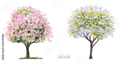 Vector watercolor blooming flower tree side view isolated on white background for landscape and architecture drawing, elements for environment or and garden,botanical elements for section 