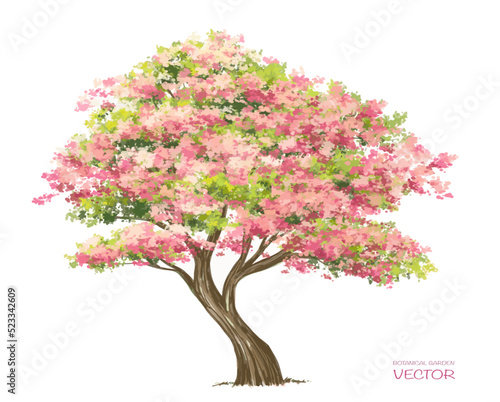 Vector watercolor blooming flower tree side view isolated on white background for landscape and architecture drawing, elements for environment or and garden,botanical elements for section 