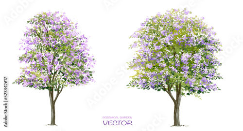Vector watercolor blooming flower tree side view isolated on white background for landscape and architecture drawing, elements for environment or and garden,botanical elements for section 